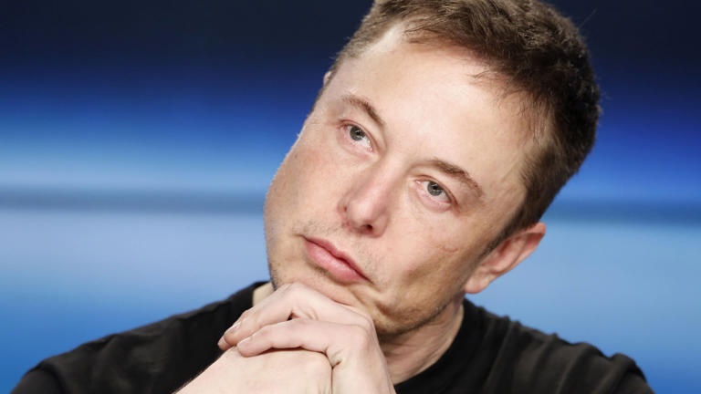 Musk deve abandonar todas as empresas, diz cofundador do Facebook