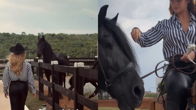 Andressa Suita curte haras de Gusttavo Lima e posa com cavalo de mais de R$ 5 milhões